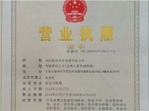 生活服務黃頁 城市聯盟